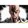 One Punch Man 11