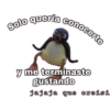 Solo quería conocerte y me terminaste gustando jajaja que creisi