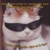 Hola, interrumpo tu navegación para informarte que te vas a casar conmigo Of garags love Galitos para conquistar a tu CRUSH Garcias x la atención, sigue en lo tuyo