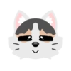 Pack de gatita graciosa 25