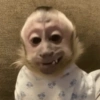 🙈 MONITO MOODS 2 🙉 11
