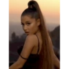 ARIANATORSSPOT 100 11