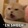 *EN SHOCK*