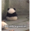[Haciendo la ignoracion ]