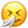 Iphone emoji 21