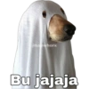 @baewhorx Bu jajaja