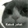 Kakak jahat
