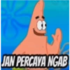 Petrik 23