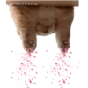 STICKERSMN