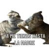 Pa cuando quieres golpear a tu novix 24