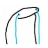 Flork 19