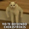 Michis Para Ti pt.8🐱❤️ 7