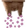 STICKERSMN