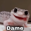 Animalitos con frases 3❤️😎 7