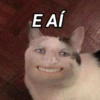 ANIMAIS E REAÇÕES 10