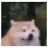 Memes pa' decir SI A TODO 18