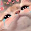 Gatitos_corazoncitos 9