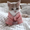 I love cats 4 21