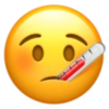 Iphone emoji 25