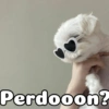Peyitos Bonitos❤️🐕 10