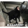 Aaaahhh C