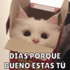 DÍAS PORQUE BUENO ESTAS TÚ
