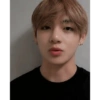 BTS V 5
