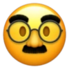 Iphone emoji 13