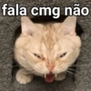 fala cmg não