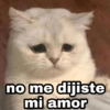 Animalitos con frases 3❤️😎 27