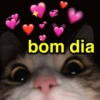 bom dia