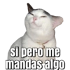 Memes pa' decir SI A TODO 14