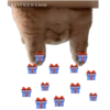 STICKERSMN