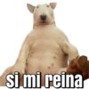 Memes pa' decir SI A TODO 17