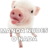 CERDITOS CARIÑOSOS 19