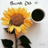 Bom dia 6