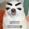 21
ESTOY
ENOJAD@