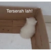 Terserah lah!