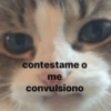contestame o
me
convulsiono