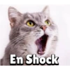 En Shock