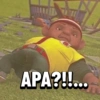 und
APA?!!...