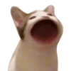 Memes pa’ gritaaaaar JAJAJA 14