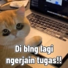 Cute cat sticker 🐈 11