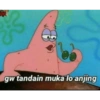 Patrick 12