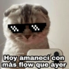 Animalitos con frases 3❤️😎 14