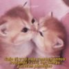 Gatitos para conquistar a tu CRUSH Ol@drugs2love Solo tú y yo nos vemos bonitos hablando cursi, los demás parecen pendejos