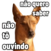 não quero
saber
não
tô
ouvindo