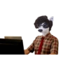 CatiPanda1 3