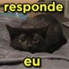 CARÊNCIA & MEMES 10