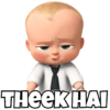 THEEK HAI